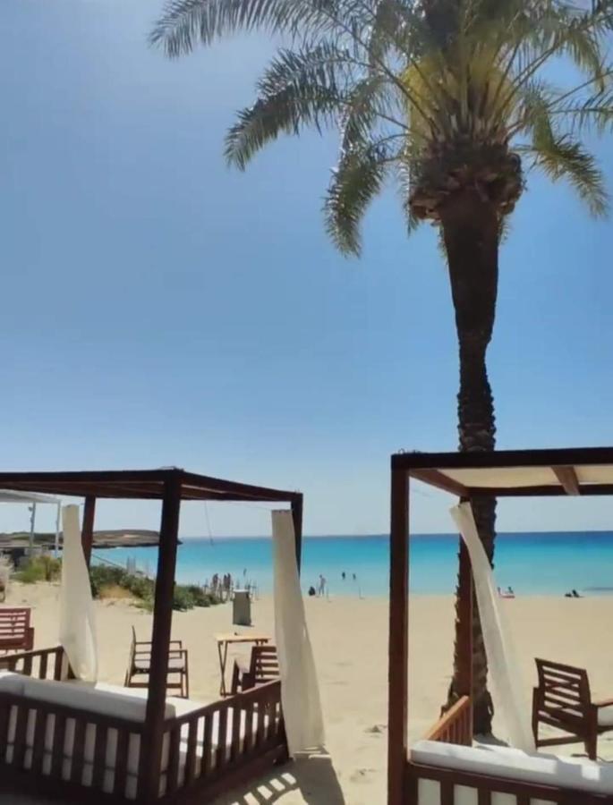 Nissi Golden Sands Sea View 2 Bedroom Apartment Ayía Nápa Extérieur photo